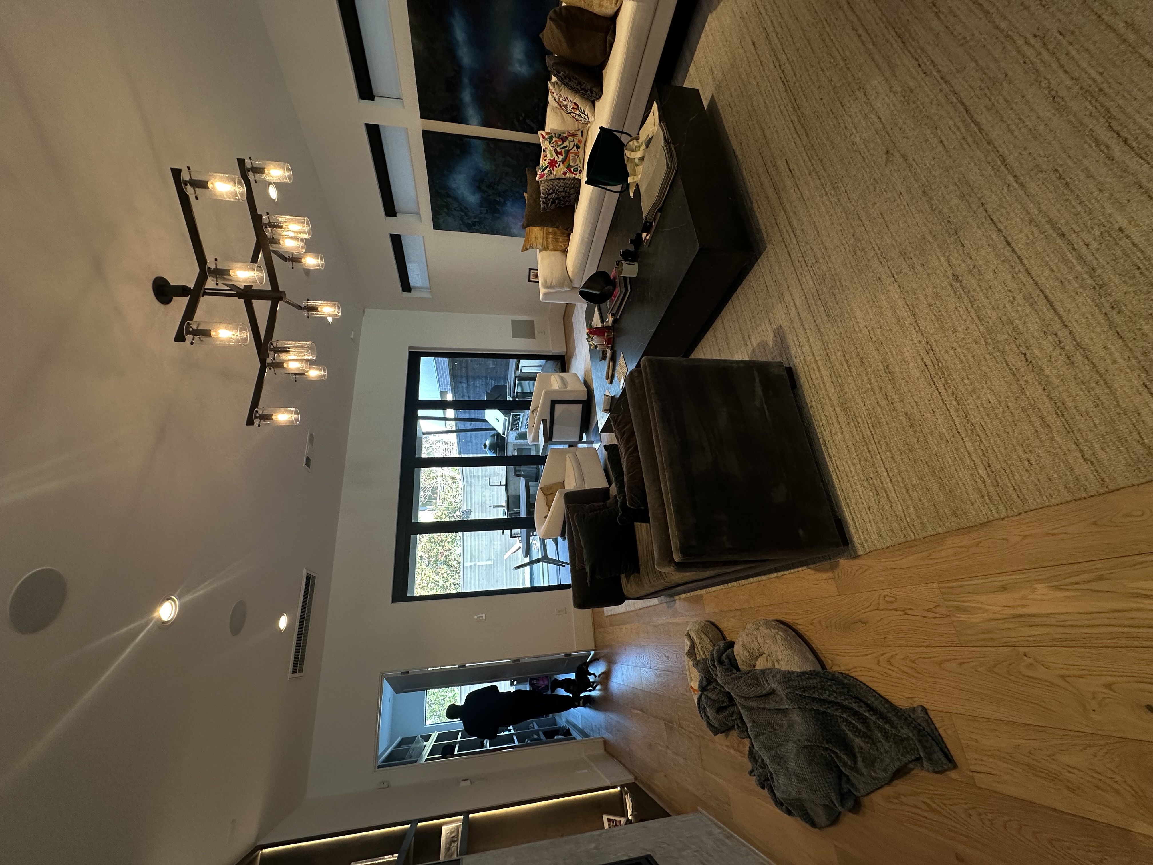 Montrose living room before, dark velvet seating and heavy industrial chandelier.